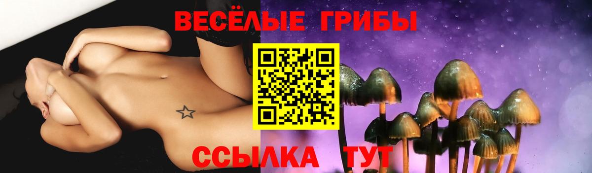 где найти наркотики  Вход с VPN  Юрга  Галлюциногенные грибы GOLDEN TEACHER 